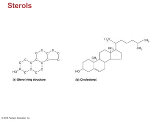 Sterols
© 2018 Pearson Education, Inc.
 