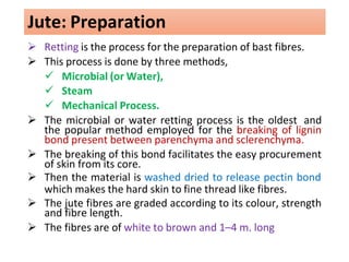 chapter5fibres-drugs-181002121549 (2).pdf