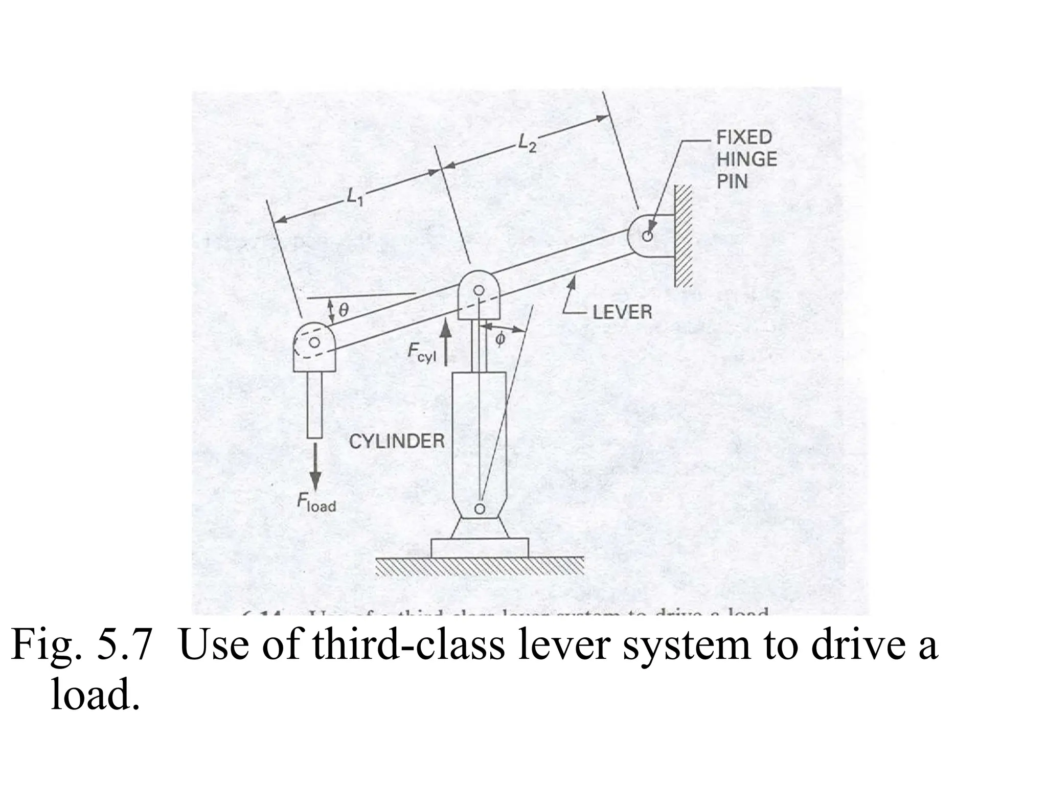 Fig. 5.7 Use of third-class lever system to drive a
load.
 