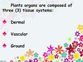 Plants organs are composed of
three (3) tissue systems:
♣ Dermal
♣ Vascular
♣ Ground
 