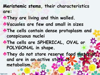 , their characteristics
are:
♣They are living and thin walled.
♣Vacuoles are few and small in sizes
♣The cells contain dense protoplasm and
conspicuous nuclei
♣The cells are SPHERICAL, OVAL or
POLYGONAL in shape.
♣They do not store reserve food material
and are in an active state of
metabolism.
 