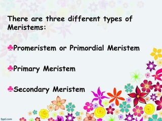 There are three different types of
Meristems:
♣Promeristem or Primordial Meristem
♣Primary Meristem
♣Secondary Meristem
 