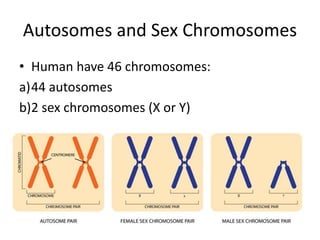 Chapter 5 inheritance | PPT
