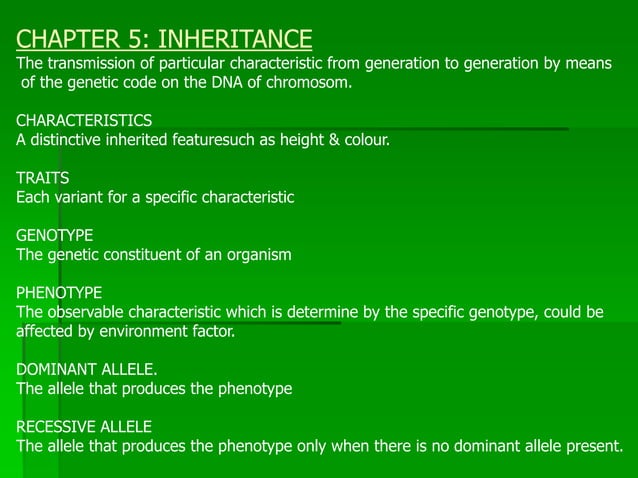 CHAPTER 5 INHERITANCE.ppt