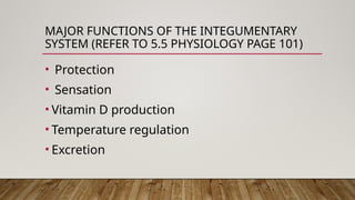 Chapter 5 Integumentary System ( Anatomy and Physiology) .pptx
