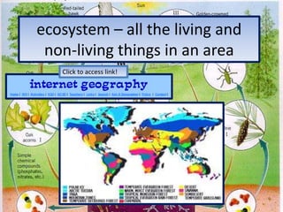 ecosystem – all the living and non-living things in an areaClick to access link!