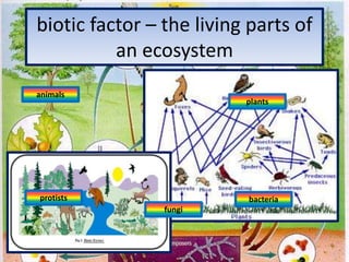 biotic factor – the living parts of an ecosystemanimalsplantsprotistsbacteriafungi