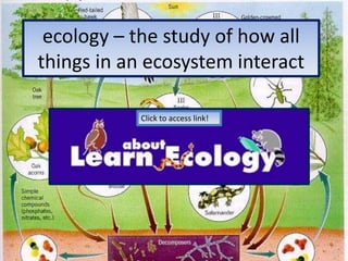 ecology – the study of how all things in an ecosystem interactClick to access link!