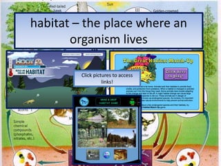 habitat – the place where an organism lives Click pictures to access links!