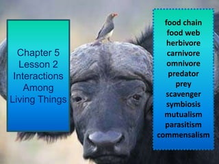 food chain
                   food web
                   herbivore
  Chapter 5        carnivore
   Lesson 2        omnivore
 Interactions       predator
                      prey
    Among
                  scavenger
Living Things      symbiosis
                  mutualism
                  parasitism
                commensalism
 