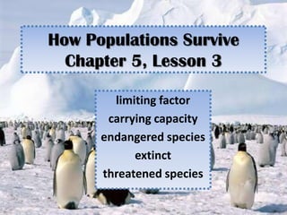 How Populations Survive
  Chapter 5, Lesson 3

        limiting factor
       carrying capacity
      endangered species
            extinct
      threatened species
 