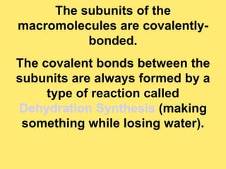 The subunits of the
macromolecules are covalently-
bonded.
The covalent bonds between the
subunits are always formed by a
type of reaction called
Dehydration Synthesis (making
something while losing water).
 