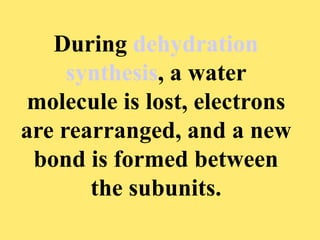 During dehydration
synthesis, a water
molecule is lost, electrons
are rearranged, and a new
bond is formed between
the subunits.
 