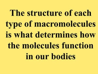 The structure of each
type of macromolecules
is what determines how
the molecules function
in our bodies
 