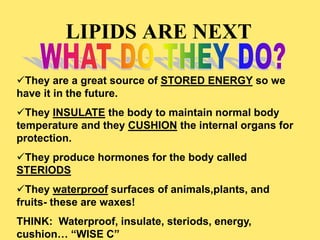 LIPIDS ARE NEXT
They are a great source of STORED ENERGY so we
have it in the future.
They INSULATE the body to maintain normal body
temperature and they CUSHION the internal organs for
protection.
They produce hormones for the body called
STERIODS
They waterproof surfaces of animals,plants, and
fruits- these are waxes!
THINK: Waterproof, insulate, steriods, energy,
cushion… “WISE C”
 