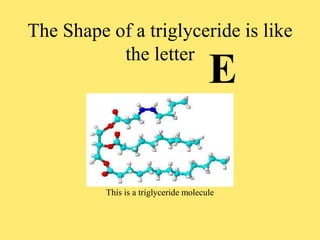 The Shape of a triglyceride is like
the letter
E
This is a triglyceride molecule
 
