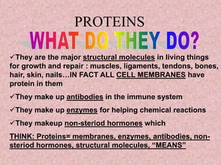 PROTEINS
They are the major structural molecules in living things
for growth and repair : muscles, ligaments, tendons, bones,
hair, skin, nails…IN FACT ALL CELL MEMBRANES have
protein in them
They make up antibodies in the immune system
They make up enzymes for helping chemical reactions
They makeup non-steriod hormones which
THINK: Proteins= membranes, enzymes, antibodies, non-
steriod hormones, structural molecules, “MEANS”
 