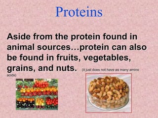 Proteins
Aside from the protein found in
animal sources…protein can also
be found in fruits, vegetables,
grains, and nuts. (it just does not have as many amino
acids)
 