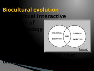 Chapter 5 LOOKING BACK AT HUMAN BIOCULTURAL AND SOCIL EVOLUTION.pptx