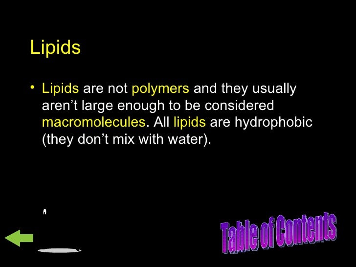 Why Aren T Lipids Considered Polymers slidesharetrick