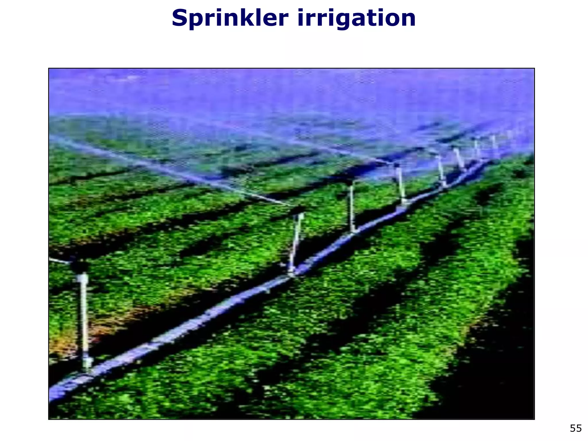 55
Sprinkler irrigation
 