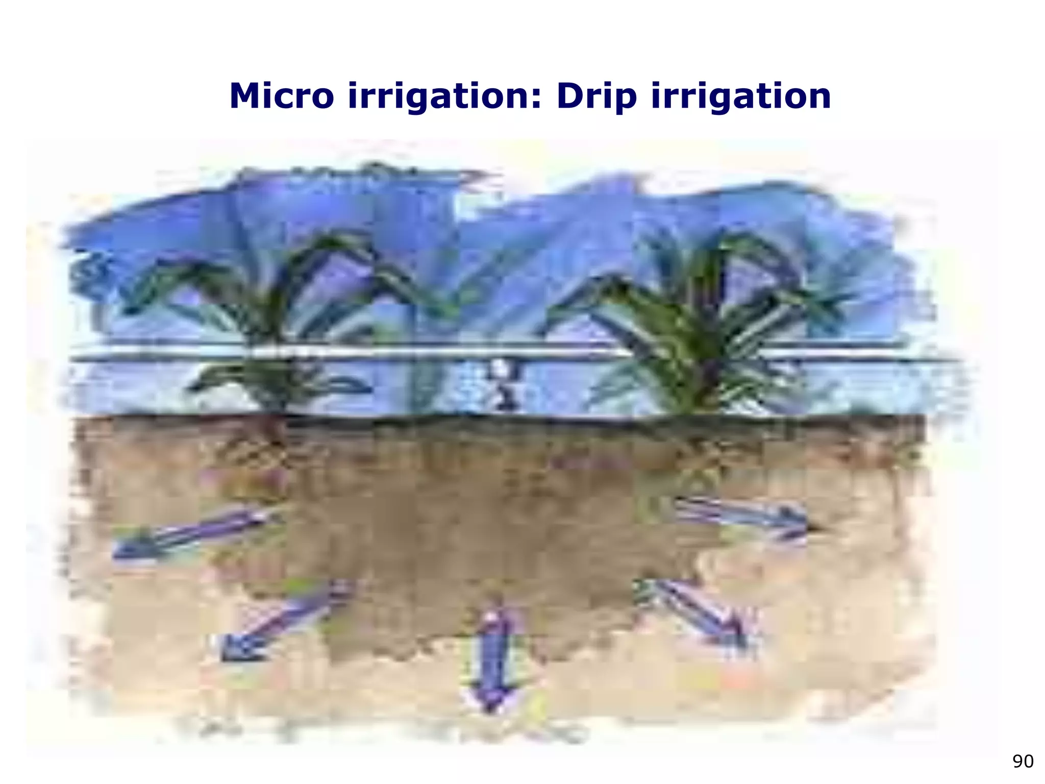90
Micro irrigation: Drip irrigation
 