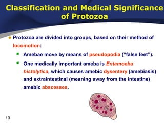 Classification and Medical Significance
of Protozoa
• Protozoa are divided into groups, based on their method of
locomotion:




Amebae move by means of pseudopodia (“false feet”).
One medically important ameba is Entamoeba
histolytica, which causes amebic dysentery (amebiasis)
and extraintestinal (meaning away from the intestine)
amebic abscesses.

10

 