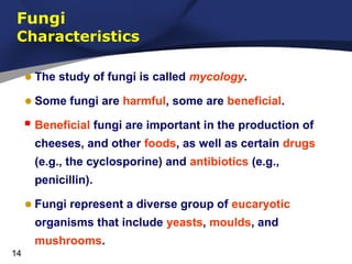 Fungi

Characteristics

• The study of fungi is called mycology.
• Some fungi are harmful, some are beneficial.
 Beneficial fungi are important in the production of
cheeses, and other foods, as well as certain drugs
(e.g., the cyclosporine) and antibiotics (e.g.,
penicillin).

• Fungi represent a diverse group of eucaryotic
organisms that include yeasts, moulds, and
mushrooms.
14

 