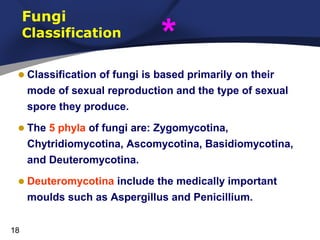 Fungi

Classification

*

• Classification of fungi is based primarily on their
mode of sexual reproduction and the type of sexual
spore they produce.

• The 5 phyla of fungi are: Zygomycotina,
Chytridiomycotina, Ascomycotina, Basidiomycotina,
and Deuteromycotina.

• Deuteromycotina include the medically important
moulds such as Aspergillus and Penicillium.
18

 
