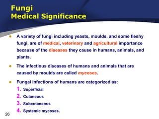 Fungi

Medical Significance
•

A variety of fungi including yeasts, moulds, and some fleshy
fungi, are of medical, veterinary and agricultural importance
because of the diseases they cause in humans, animals, and
plants.

•

The infectious diseases of humans and animals that are
caused by moulds are called mycoses.

•

26

Fungal infections of humans are categorized as:

1.
2.
3.
4.

Superficial
Cutaneous
Subcutaneous
Systemic mycoses.

 