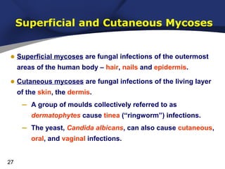 Superficial and Cutaneous Mycoses
• Superficial mycoses are fungal infections of the outermost
areas of the human body – hair, nails and epidermis.

• Cutaneous mycoses are fungal infections of the living layer
of the skin, the dermis.

–

A group of moulds collectively referred to as
dermatophytes cause tinea (“ringworm”) infections.

–

The yeast, Candida albicans, can also cause cutaneous,
oral, and vaginal infections.

27

 