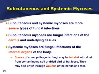 Subcutaneous and Systemic Mycoses

• Subcutaneous and systemic mycoses are more
severe types of fungal infections.

• Subcutaneous mycoses are fungal infections of the
dermis and underlying tissues.

• Systemic mycoses are fungal infections of the
internal organs of the body.

–

Spores of some pathogenic fungi may be inhaled with dust
from contaminated soil or dried bird or bat feces. They
may also enter through wounds of the hands and feet.

28

 