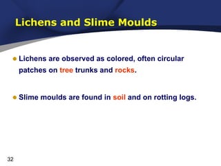 Lichens and Slime Moulds

• Lichens are observed as colored, often circular
patches on tree trunks and rocks.

• Slime moulds are found in soil and on rotting logs.

32

 