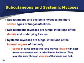 Subcutaneous and Systemic Mycoses

• Subcutaneous and systemic mycoses are more
severe types of fungal infections.

• Subc...