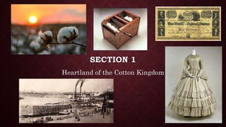 SECTION 1
Heartland of the Cotton Kingdom
 