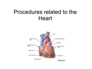 Procedures related to the Heart 