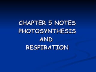 CHAPTER 5 NOTES PHOTOSYNTHESIS AND  RESPIRATION 