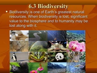6.3 Biodiversity


Biodiversity is one of Earth’s greatest natural
resources. When biodiversity is lost, significant
value to the biosphere and to humanity may be
lost along with it.

 