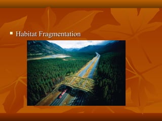 

Habitat Fragmentation

 