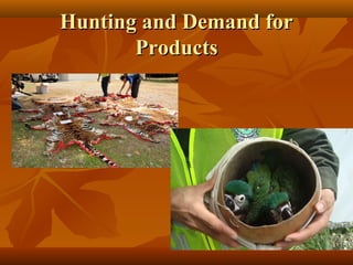 Hunting and Demand for
Products

 