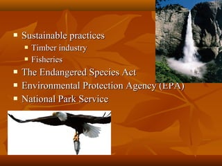 

Sustainable practices







Timber industry
Fisheries

The Endangered Species Act
Environmental Protection Agency (EPA)
National Park Service

 