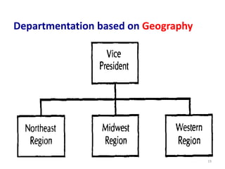 Departmentation based on Geography
19
 