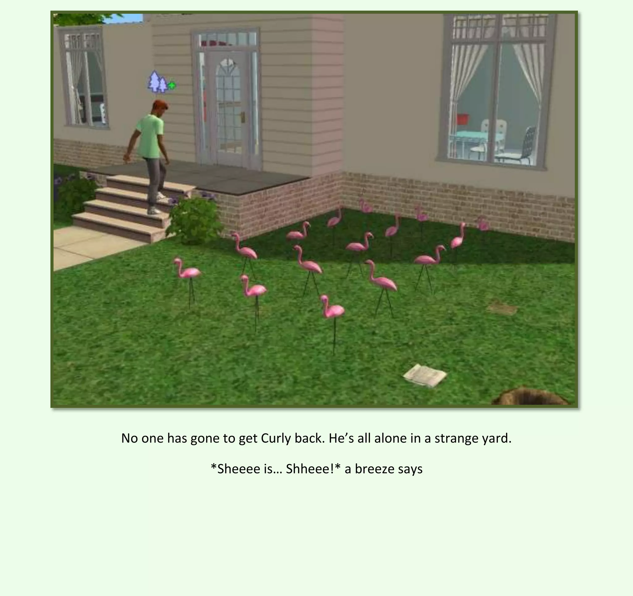 No one has gone to get Curly back. He’s all alone in a strange yard.
*Sheeee is… Shheee!* a breeze says

 