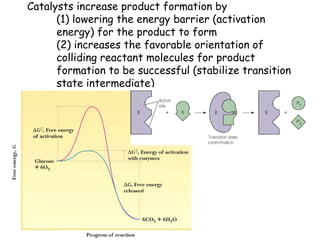 Catalysts increase product formation by
(1) lowering the energy barrier (activation
energy) for the product to form
(2) increases the favorable orientation of
colliding reactant molecules for product
formation to be successful (stabilize transition
state intermediate)
 