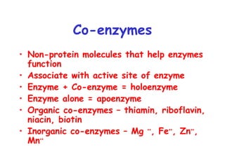 Co-enzymes
• Non-protein molecules that help enzymes
function
• Associate with active site of enzyme
• Enzyme + Co-enzyme = holoenzyme
• Enzyme alone = apoenzyme
• Organic co-enzymes – thiamin, riboflavin,
niacin, biotin
• Inorganic co-enzymes – Mg ++
, Fe++
, Zn++
,
Mn++
 
