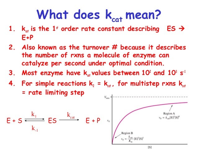 Chapter 5 (part2) enzymes michaelismenton