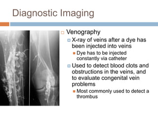 Chapter 5 powerpoint | PPTX