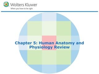 Copyright © 2016 Wolters Kluwer Health | Lippincott Williams & Wilkins
Chapter 5: Human Anatomy and
Physiology Review
 