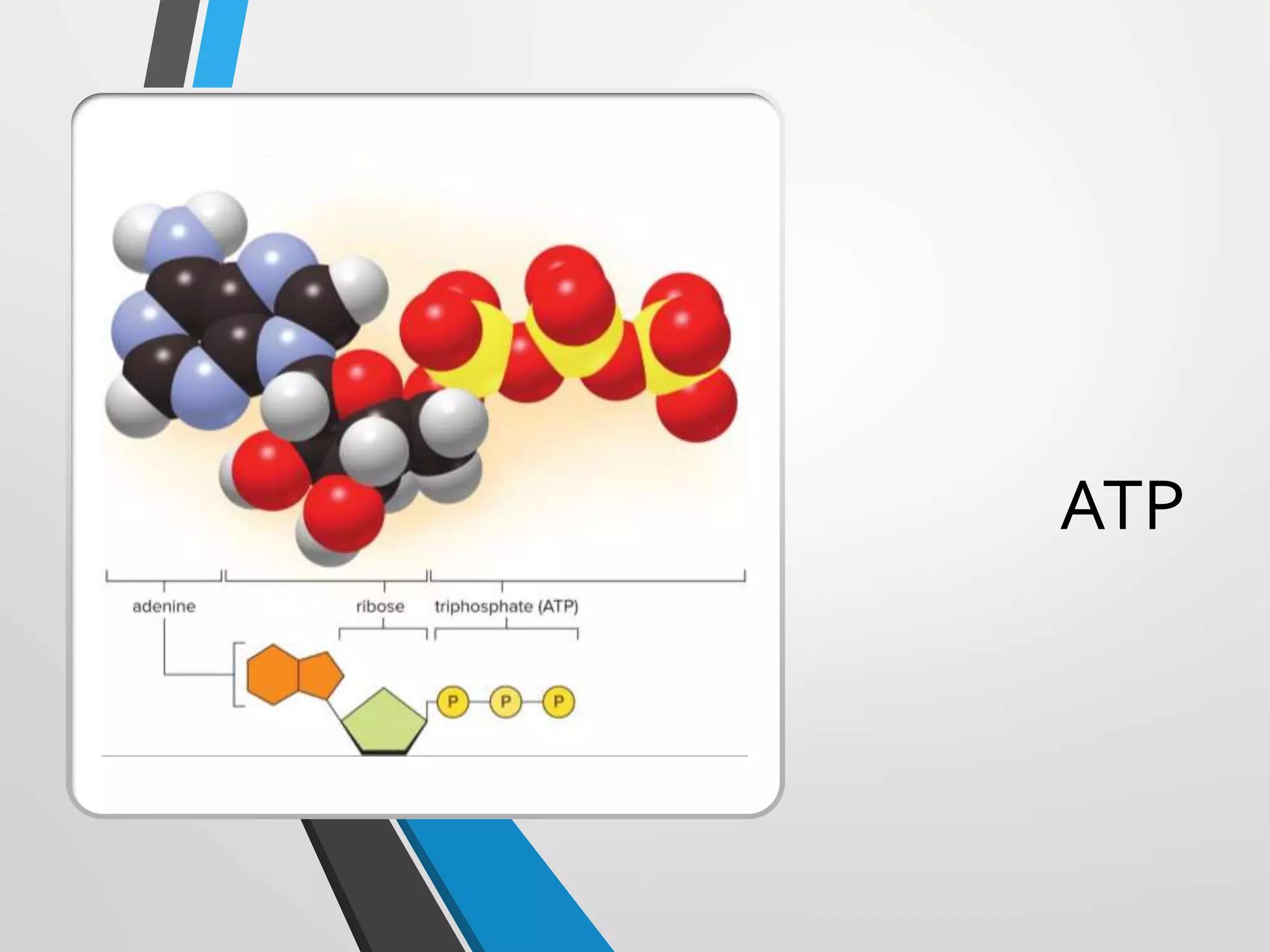 Copyright © McGraw-Hill Education. All rights reserved. Authorized only for instructor use in the classroom. No reproduction or distribution without the prior written
consent of McGraw-Hill Education.
5-11
ATP
 