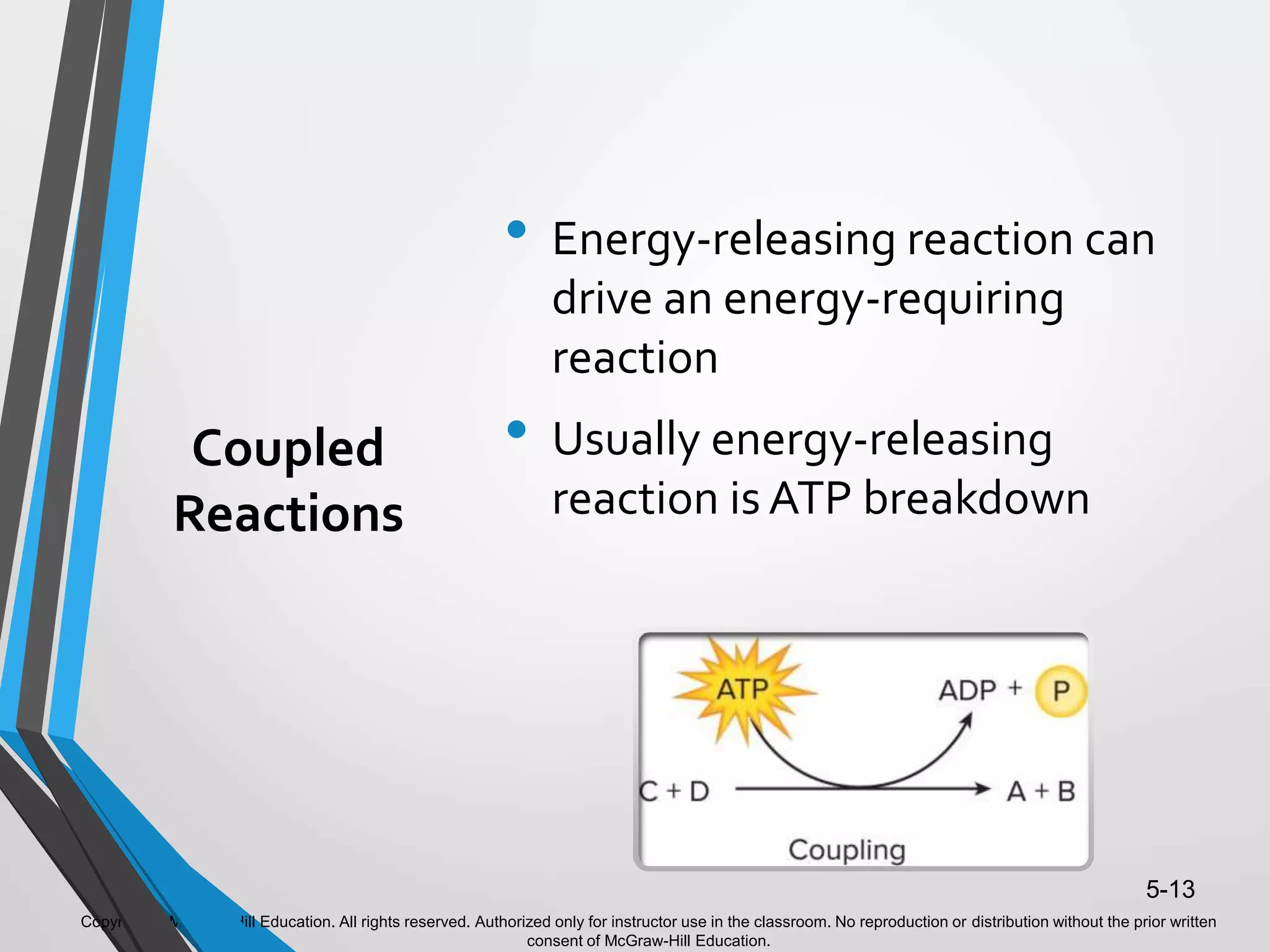 Copyright © McGraw-Hill Education. All rights reserved. Authorized only for instructor use in the classroom. No reproduction or distribution without the prior written
consent of McGraw-Hill Education.
5-13
Coupled
Reactions
• Energy-releasing reaction can
drive an energy-requiring
reaction
• Usually energy-releasing
reaction is ATP breakdown
 